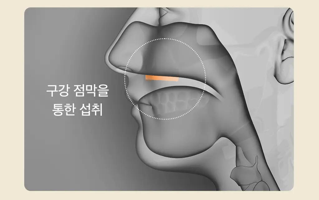 [이준혁PICK] 디어퀸 리포좀 글루타치온 필름 30매 (1개월분) 상세페이지 21